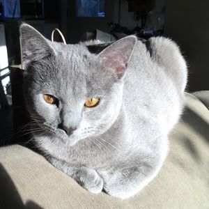 Meet your Posher, Michelle